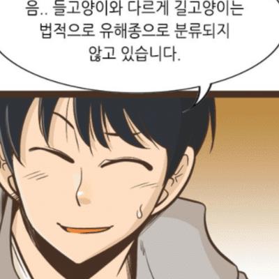 캣맘입장에서보면숨막히는.manhwa