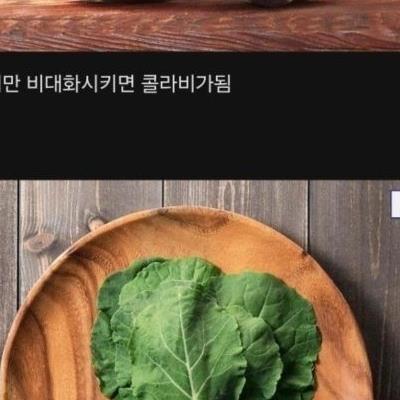 인간이 개량해서 대박난 식물군 원탑