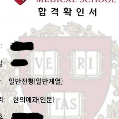 하버드 합격해서 너무 즐겁다는 자