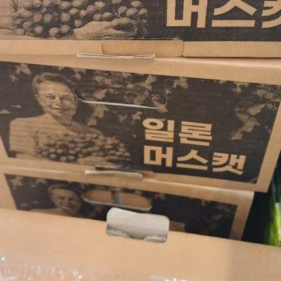 화성에서 팔 것 같은 과일