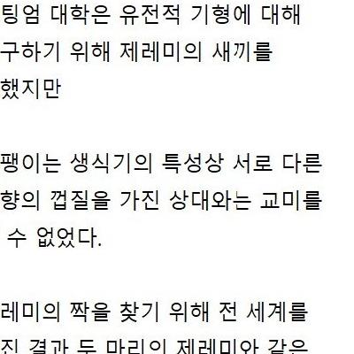 교미 한 번 하려고 전세계를 다 뒤진 결과