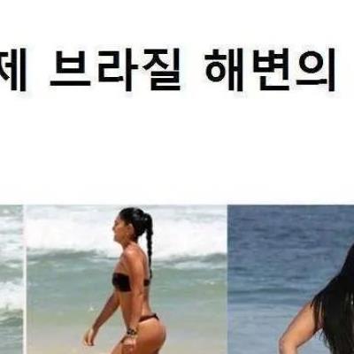 ㅇㅎ)브라질해변의실체