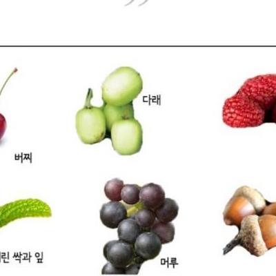 (잡담) 단군신화 반달곰 썰