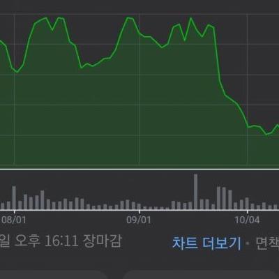 YG 엔터 주식 근황