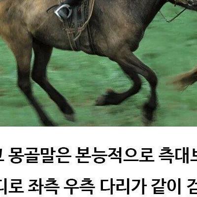 ㅈ밥같이 생긴 몽골마이야기