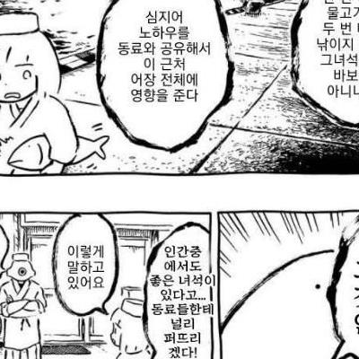 목숨 구걸하는 물고기