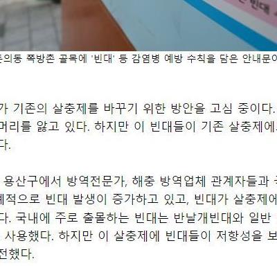 결국 빈대도 윤석열 작품