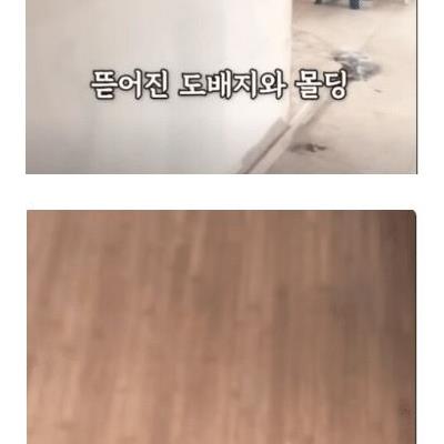 경매로 집이 넘어가자 집을 다 박살내버림.jpg