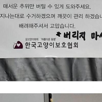 길고양이집 사유재산 인정되나요?