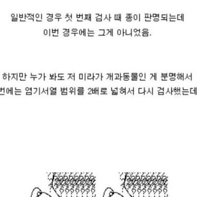 러시아 영구동토층에서 발견‰榮募?정체불명의것.